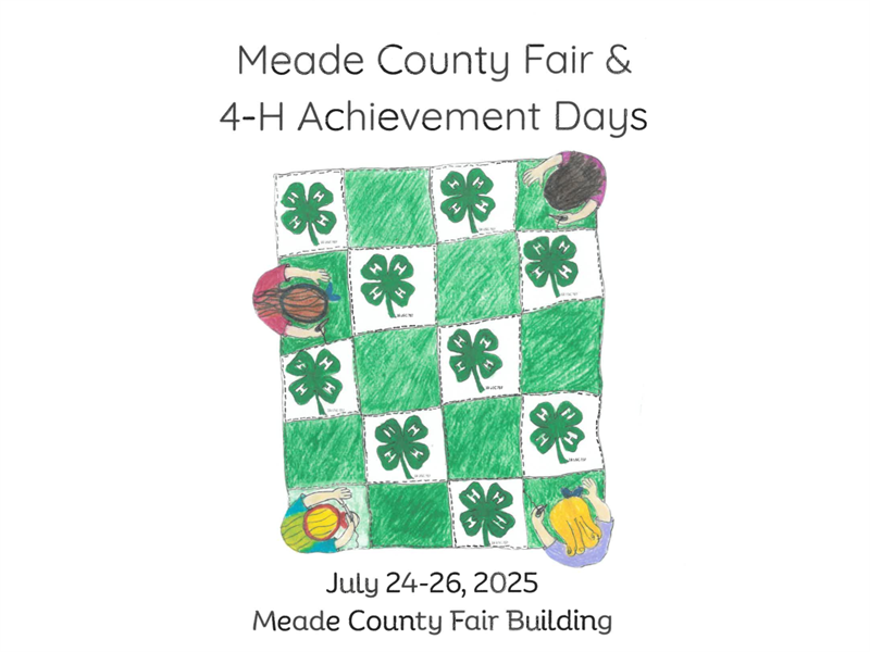 Fair Logo